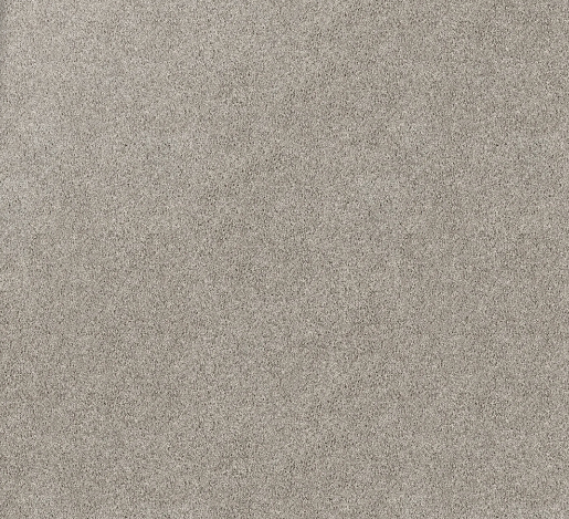 Anchovy carpet sample — light neutral tone