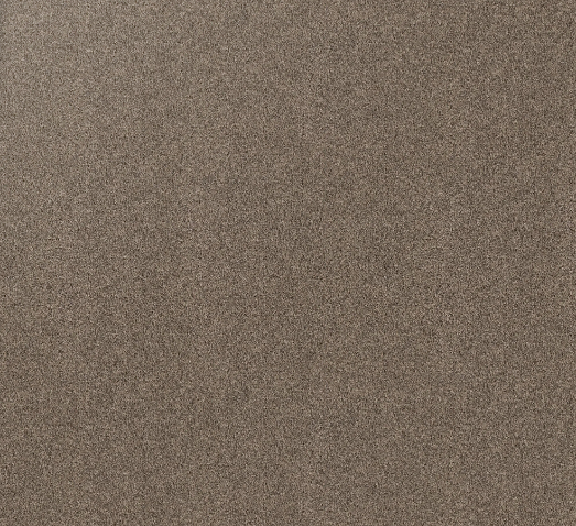 Mist carpet sample — soft light-grey tone
