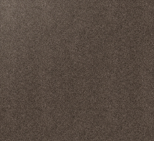 Paua carpet sample — warm brown-grey tone