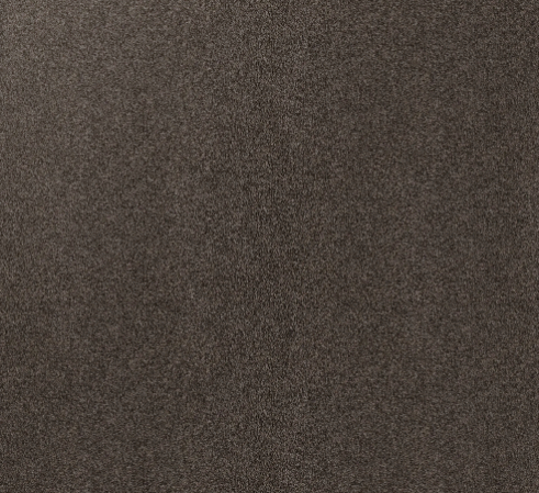 Pravda carpet sample — deep warm-grey tone